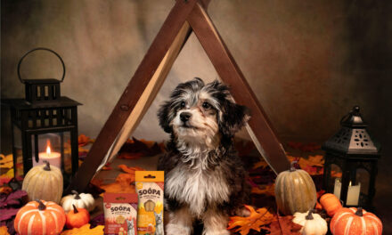 Pumpkin Spice And All Things Nice!