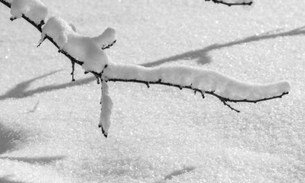 Severe Weather and Travel Disruptions Across London and Southern England