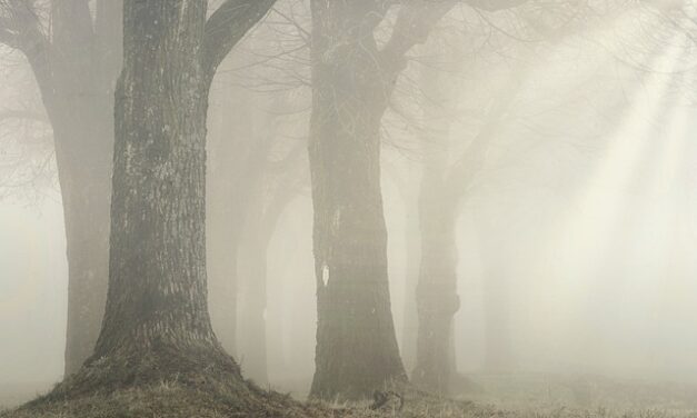 What fun things to do with kids on a foggy day?