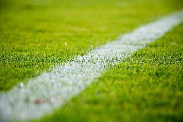 Photo by StockSnap football photo
