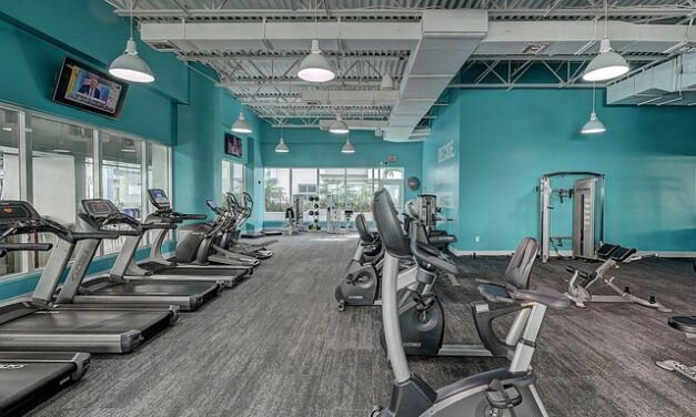 Discover the Best Gyms in the South of England for Your Fitness Goals