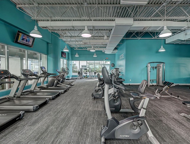Discover the Best Gyms in the South of England for Your Fitness Goals