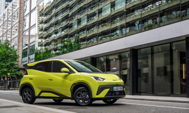 BYD DOLPHIN SURF scores maximum five-star Euro NCAP safety rating