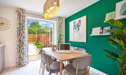 Last Chance to Buy at Bay View, Devon