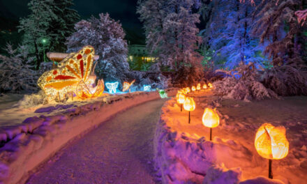 A living Advent calendar of Alpine magic