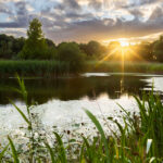 Celebrating nature: wildlife at the Home of Rolls-Royce