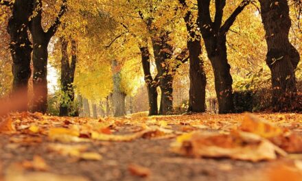 UK Weather Forecast for Tuesday 28 October 2025: A Brighter, Milder Day with Some Late Cloud