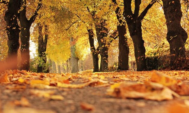 UK Weather Forecast for Tuesday 28 October 2025: A Brighter, Milder Day with Some Late Cloud