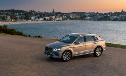 Bentley Environmental Foundation announces support for kelp forest restoration project