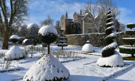 Don’t Miss Out on World Record Holder’s December Dates