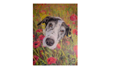 How Rescue Dog Inspired Artist