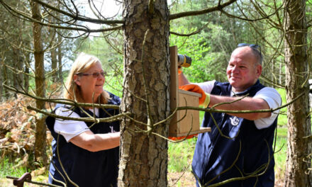 National Lottery Scratchcard Winners Help Preserve UK’s Red Squirrel Population