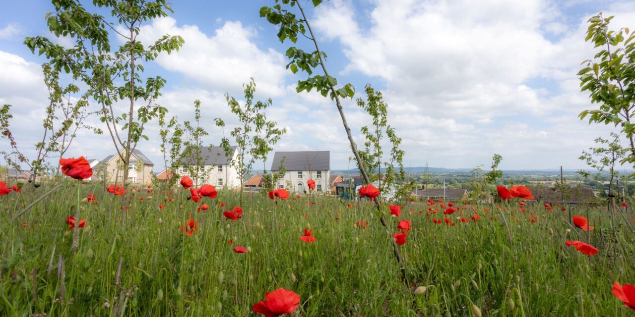 mbrace village living with a move to a new home in Sampford Peverell this summer