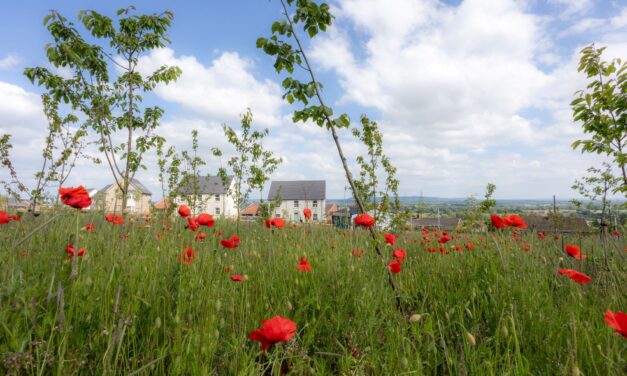 mbrace village living with a move to a new home in Sampford Peverell this summer